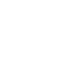 GitHub download icon